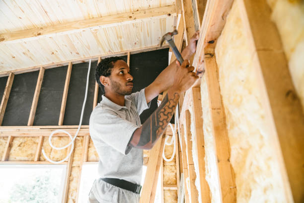 Best Residential Insulation Services  in USA