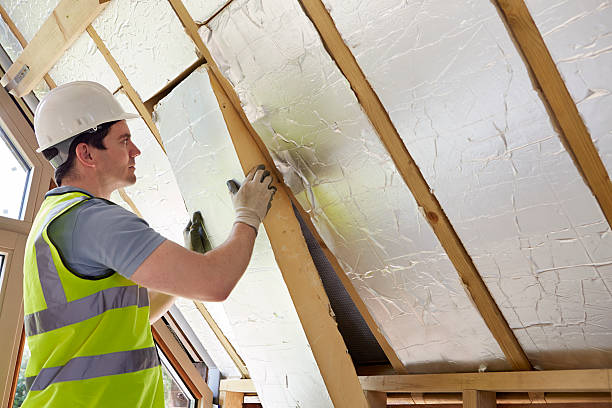 Best Attic Insulation Installation  in USA